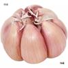 Cabeza de Ajo Seco 5kg Cultivado Propio Ajo de Qixian Henan 2023 Ajo Nuevo Ajo Seco 2.5kg Piel Blanca 2 Libras 1.5kg