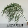 Plantas Verdes Artificiales, Hierba de Espárrago, Aspárago, Hierba del Aire, Pared de Flores para Bodas, Jardín de Monet, Decoración Suave, Paisajismo de Invierno, Arreglo Floral