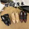 Zapatos de Mujer Estilo Francés con Punta Aguda que Aumentan la Altura 2025 Primavera Nuevos Retro Versátiles Elegantes de Correa Única con Tacón Grueso Zapatos Mary Jane