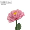 Flor de Papel Tridimensional Flor de Peônia Grande Realista Peça de Exibição para Decoração de Casamento Peça de Exibição para Vitrine Beleza Flor de Peônia Realista