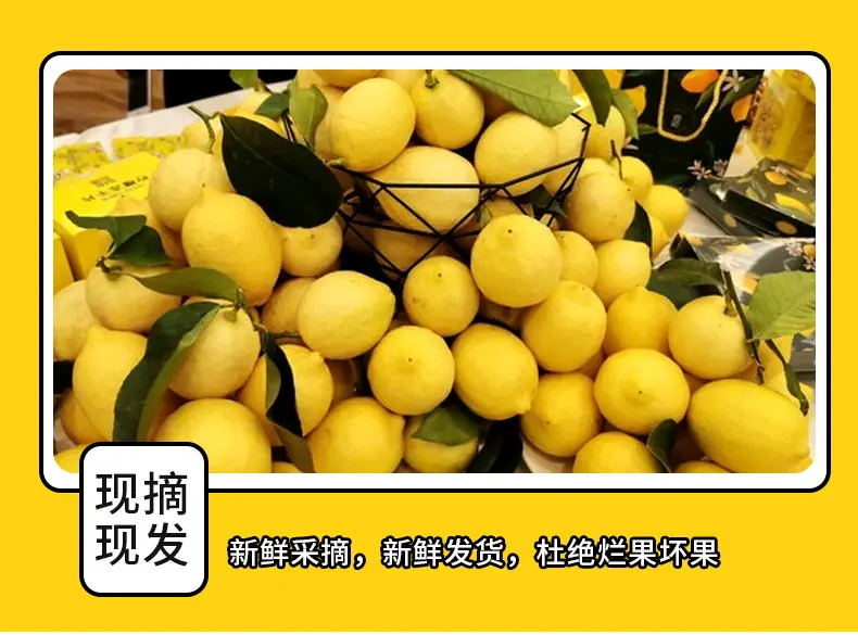 安岳黄柠檬新果上市详情图6