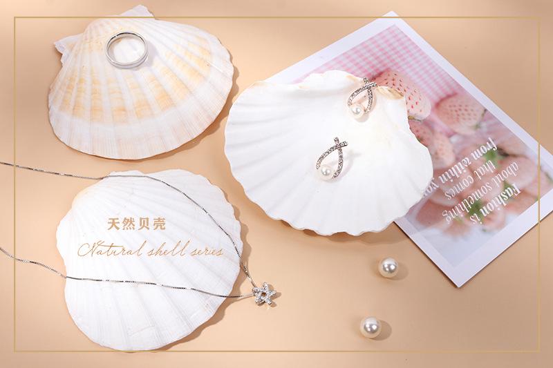 天然贝壳