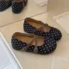 Sapatos retro Dianbocken de sola macia combinados com um vestido da moda estilo coreano 2026, sapatos Mary Jane para mulheres, novo estilo de outono, versátil e moderno