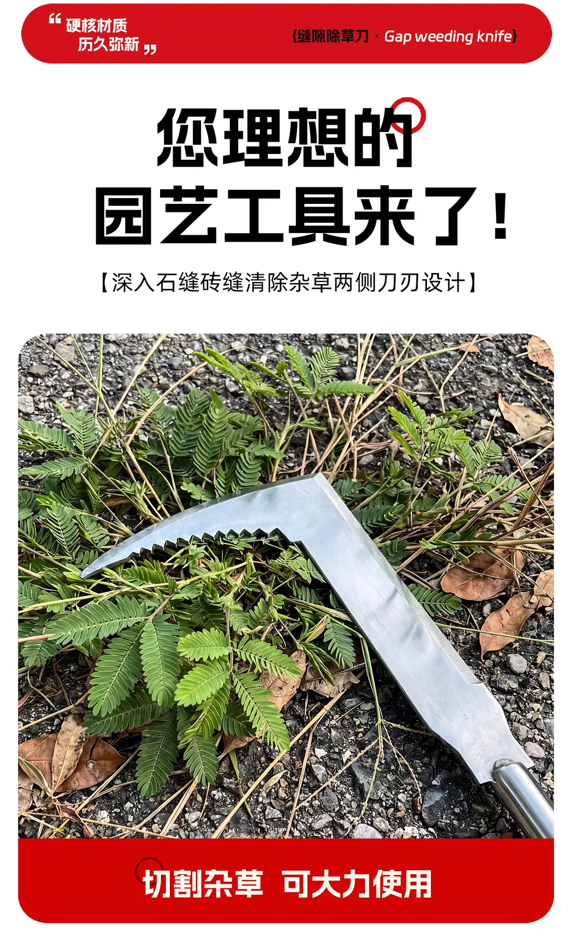 AA_04.jpg