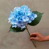 Fábrica atacado comércio exterior simulação única hortênsia 96 peças casamento decoração decoração arranjo de flores hortênsia europeia