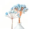 Árbol de la Fortuna de Cristal Natural al por Mayor, Producto Semi-Terminado, Árbol de Cristal Tejido a Mano con Alambre de Cobre, Material DIY con Agujeros