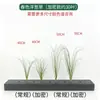Dropshipping Transfronterizo de Hierba Cebolla Encriptada, Césped Artificial, Hierba Pequeña de Tallo Único, Paisajismo con Plantas Verdes, Césped Artificial, Hierba de Junco, Plantas Artificiales