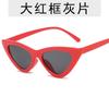 Gafas de sol de ojo de gato personalizadas con bisagra de metal, modernas gafas de sol triangulares con diseño de lámina oceánica transparente 5040