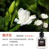 Aromaterapia Chá Fragrância Ar Fresco Nova Aromaterapia Interior Casa Duradouro Guarda-Roupa Bom Cheiro Difusão Sem Fogo Fragrância Aromaterapia