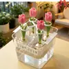 Cesta Hidropónica para Bulbos de Tulipán, Jarrón Transparente Minimalista de Cuatro Agujeros, Maceta de Escritorio de Fácil Cambio de Agua