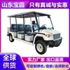Carro Elétrico de Patrulha para Comércio Exterior com 4-6-8 Lugares para Gerenciamento de Propriedade, Segurança, Comunidade, Rua, Campus e Fábrica Veículo Elétrico de Patrulha