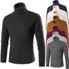 Suéter de cuello alto para hombre de comercio exterior de Amazon Otoño e Invierno Suéter de cuello alto moderno Suéter simple de trenzado Suéter de talla grande