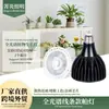 Lámpara LED de Espectro Completo para Plantas Lámpara Cob Perla de Lámpara Suculenta Planta Verde de Interior Luz de Relleno Flor en Maceta Luz de Crecimiento