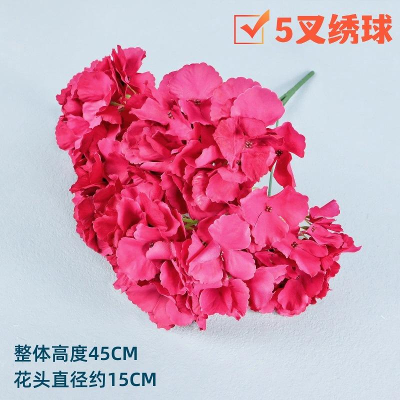 微信图片_20221220120403_副本