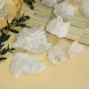 Racimo de Cristal Blanco Natural Cristal Crisantemo Cristal Mineral Natural Muestra de Cristal Piedra Ornamental Venta al por Mayor