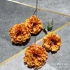 Nova flor de hibisco e peônia com 4 cabeças flor artificial fileira de flores de casamento decoração de casa fundo para fotografia