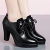 Zapatos de mujer de una sola capa con boca profunda, primavera 2023, nuevos, elegantes, puntiagudos, tacones altos, plataforma impermeable, zapatos de mujer de cuero suave, zapatos de cuero pequeños con cordones.