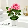 Rosa de Dos Cabezas Escandinava Pequeño Bonsái Flor Artificial Adornos de Decoración para el Hogar Planta Artificial en Maceta Accesorios para Fotografía Flores Artificiales Falsas
