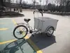 Bicicleta de Burro de Monta Inversa, Triciclo de Estilo Europeo para Venta de Mercancías, Recoger y Dejar Niños y Personas Mayores, Transporte de Mercancías