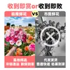 Flores Que Florescem por Muito Tempo e São Fáceis de Cultivar, Lírios, Sino dos Ventos, Flores de Corte Frescas, Plantas Hidropônicas de Cabelo Reto de Yunnan, Rosas, Arranjos de Flores de Interior