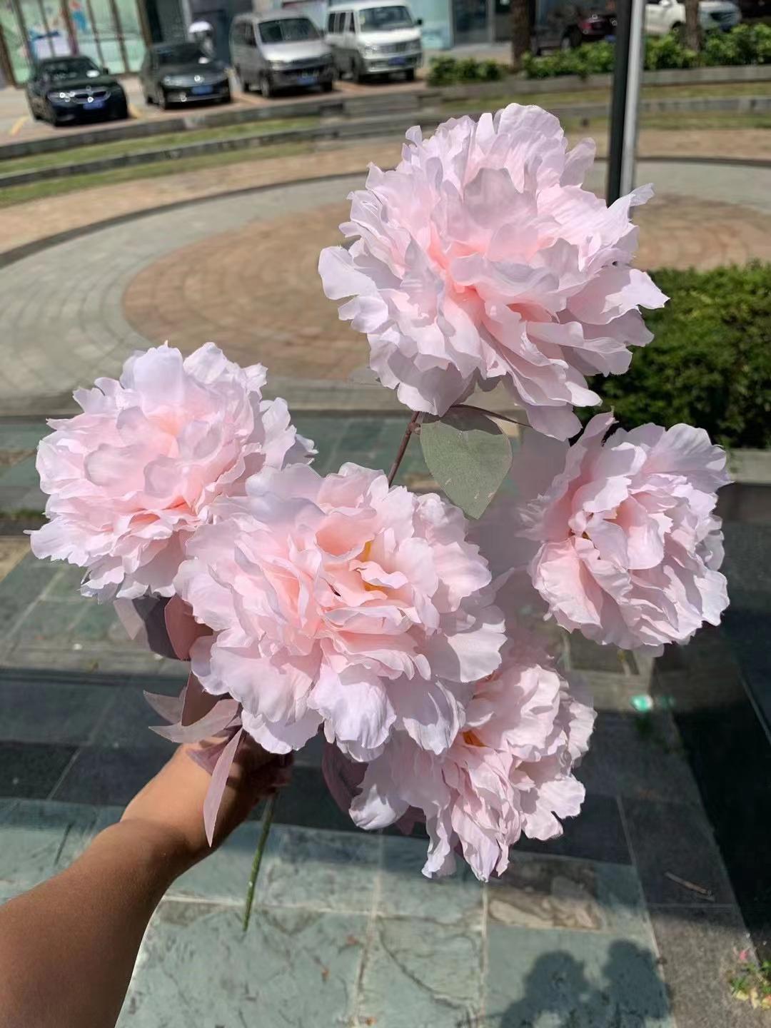 微信图片_20230725193639