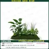 Combinación de diseño de paisaje de plantas verdes artificiales, decoración de ventana, paisajismo con plantas artificiales, arreglo de patio, vestíbulo de entrada, árbol de ambiente interior