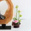 Recipiente para Arreglo Floral, Cuenco de Flor para Esterilla de Té, Kenzan, Adorno Floral para Mesa de Comedor, Madera Brasileña, Potos, Recipiente de Cerámica para Flores, Maceta para el Hogar