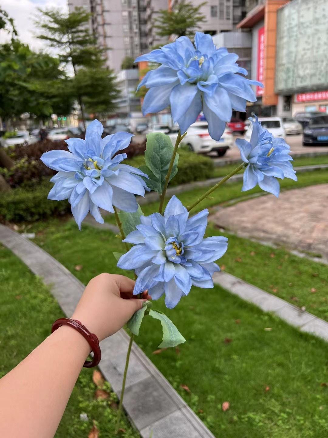 微信图片_20240729142749.jpg