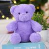 Muñeco de Peluche Muñeca Niños Novia Muñeca de Trapo Sudadera Logo de Oso Oso de Peluche Disfraz Oso Pequeño Curación Mini