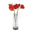 Flor Simulada Tacto Clivia Amaryllis Decoración Suave Diseño Arreglo Floral Decoración de Boda Decoración Estudio Fotográfico Venta Directa de Fábrica