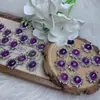 Caja Mágica de Amatista Natural Accesorios Finos Joyería