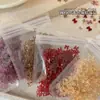 Accesorios de Arte de Uñas Mini Lazo de Moda Mezclados Otoño e Invierno Cinta Borgoña Lazo Melard 3D Decoración de Uñas