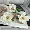 Jin Xi Flor Branca Simulada Diamante Rosa Rosa Hortênsia Decoração de Auditório de Casamento Material Floral Decoração de Sala de Estar em Casa Flor Artificial