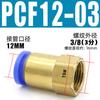 Conector Neumático Métrico e Imperial Pcf Recto Rosca Interna 01/02/03/4 Puntos Rosca Interna M5M6M8M12M14M16