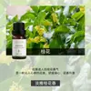 Aceite Esencial de Aromaterapia Soluble en Agua para Difusor de Aroma, Fresco para el Aire Interior, Humidificador, Máquina de Aromaterapia, Venta al por Mayor de Fábrica de Aceites Esenciales de Aromaterapia