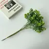 Nueva planta verde de simulación colgante Ramo de eucalipto Blanco Escarcha hoja de dinero hecha a mano ventana del hogar planta de flores decorativas accesorios de planta