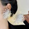 Pendientes Europeos y Americanos Exagerados Grandes para la Cena Pendientes de Fuegos Artificiales con Cuentas de Cristal Gris Pendientes de Personalidad Única de Nicho de Moda