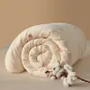 Colcha de Algodão de Xinjiang Classe A para Mães e Bebês, Colcha 100% Algodão Puro de Xinjiang, Núcleo de Colcha para Primavera e Outono, Colcha de Algodão de Inverno, Algodão de Inverno