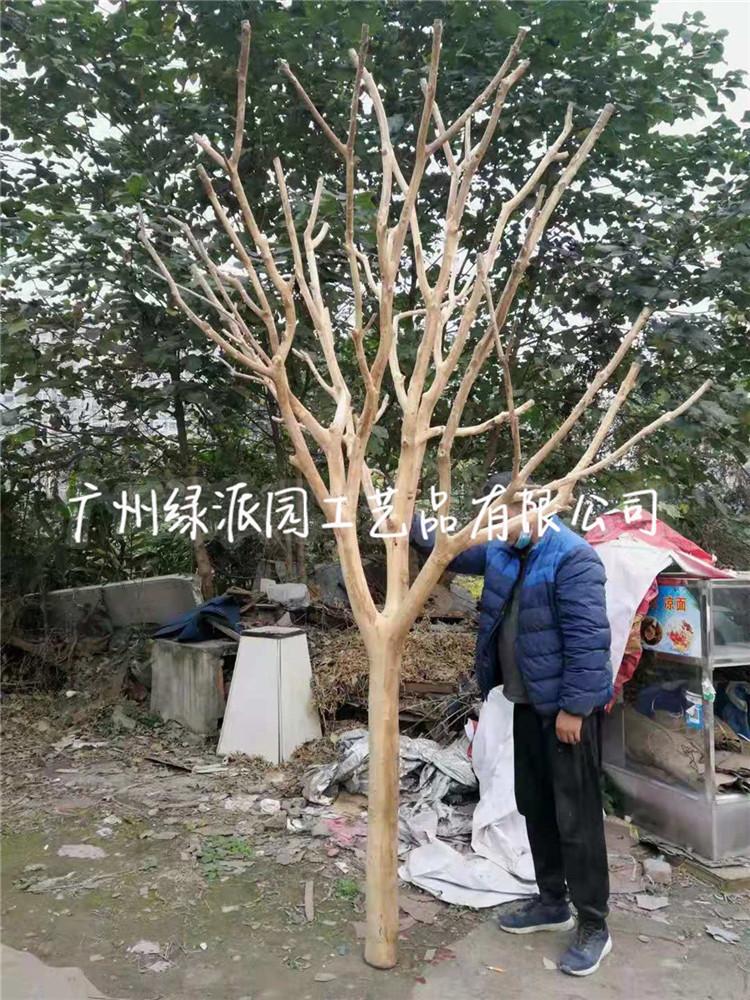 枯树1001114.jpg