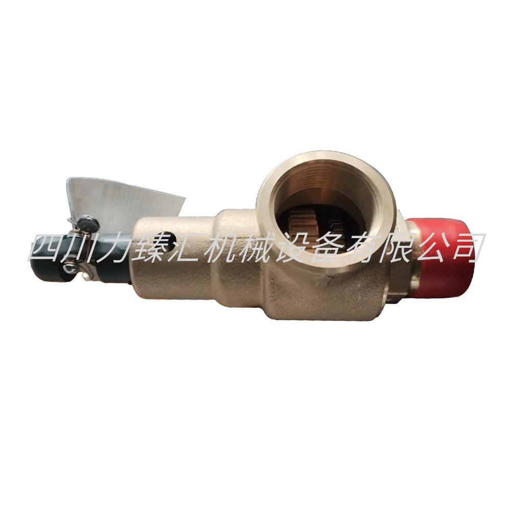 英格索兰安全阀23941917(3)-1