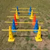 Fabricante Diversos equipamentos de treinamento para cães / Equipamentos para eventos esportivos de cães de estimação agility Treinamento de agilidade para cães simples