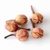 Material DIY de Flor Seca [Fruta Seca] Rapsódia Vela de Aromaterapia Espécime de Planta Artesanato Aula Material de Ramo de Flor Seca