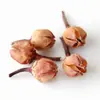 Casca de fruta faça você mesmo, pinha, lascas de madeira, folhas, flores secas, combinação de frutas secas, decoração de natal, decoração de jardim de infância, adereços retrô