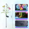 Luces LED Solares Impermeables para Exteriores Transfronterizas, Luces Verdes Brillantes de Cebolla, Luces de Diente de León para el Suelo, Fabricante de Jardines y Patios de Villas