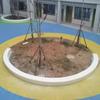 Asiento de fibra de vidrio banco curvo exterior silla de ocio centro comercial banco largo parque banco largo plaza árbol piscina asiento de paisaje