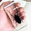Envío Transfronterizo de Especímenes Reales de Insectos, Especímenes de Resina Acrílica, Adornos de Especímenes de Animales Pequeños en Resina, En Stock para Entrega Rápida