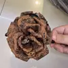 Pinza para el Cabello de Flor Rosa de Tela Estilo Caro Europeo y Americano para Moño Trasero Tipo Tiburón Accesorio para el Cabello de Hada para Foto
