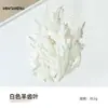 Materiais para Artesanato DIY de Flores Eternas no Atacado, Flores Secas, Frutas Secas, Rodelas de Laranja, Pinhas, Adereços para Fotografia de Flores, Materiais para Artesanato DIY de Jardim de Infância