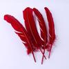 Directo de fábrica pavo nido pluma pluma al por mayor pluma de ave calamo artesanías de arco y flecha decoración materiales hechos a mano DIY