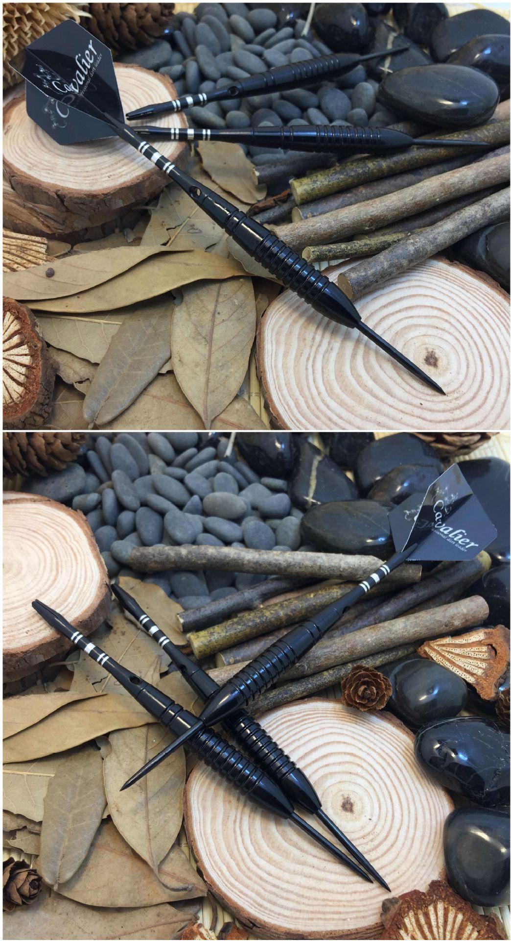 5318953811_840993706